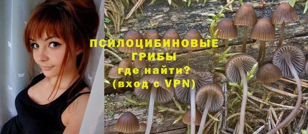 сатива Киреевск