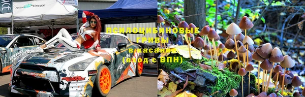 бошки Карпинск