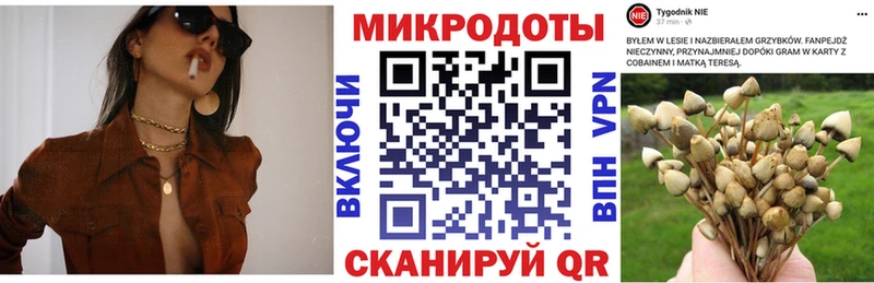 Псилоцибиновые грибы мухоморы  blacksprut онион  Магадан 
