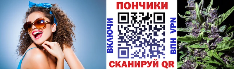 Бошки Шишки Amnesia  Магадан 